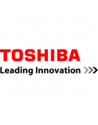 Climatisation Reversible Toshiba